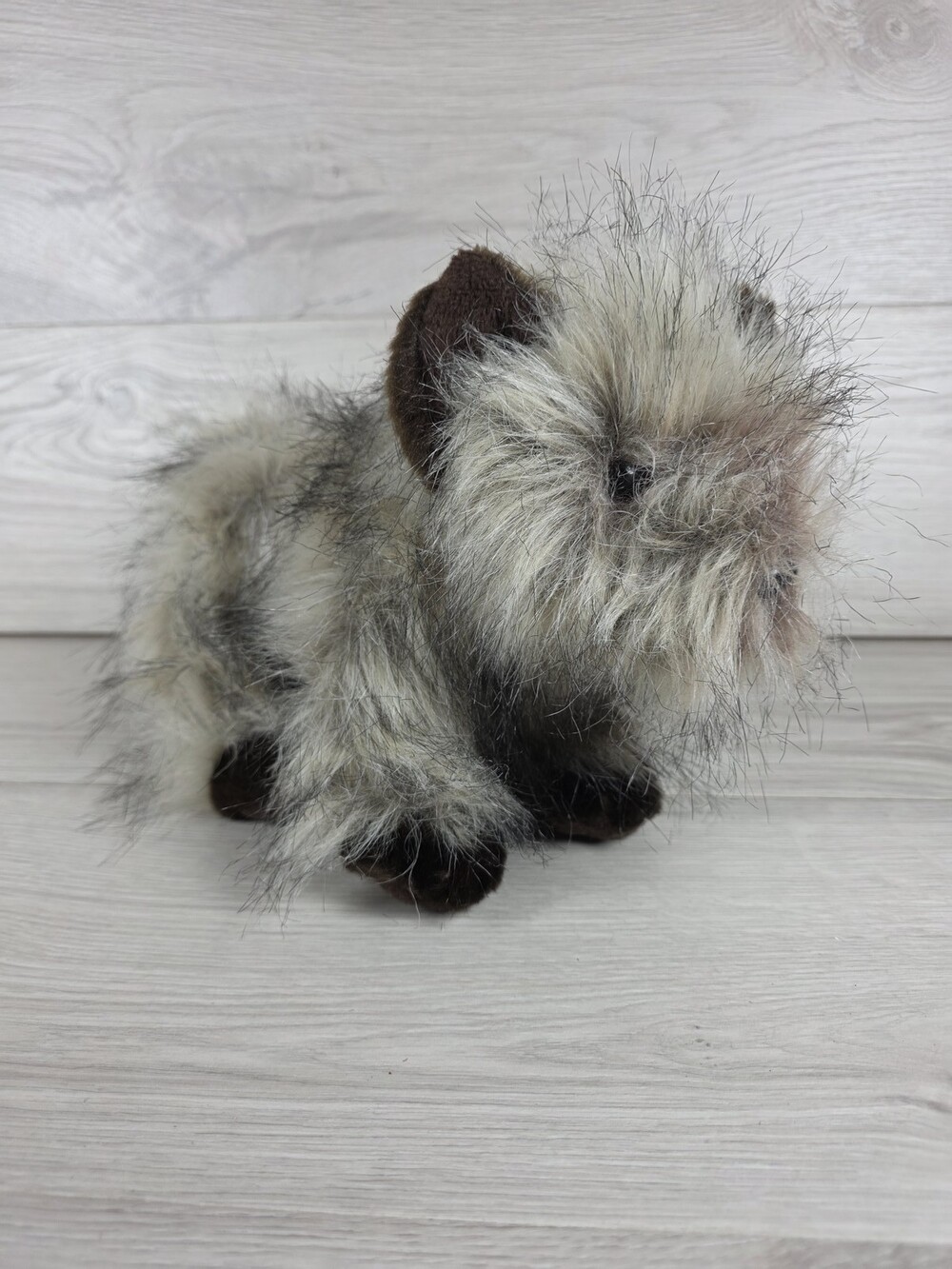 Nat & Jules Cairn Terrier Luv Plush Dog 12" Realistic Shaggy Fur SU44